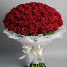 Букет 101 Красная роза Блэк Мэджик #REPLACE_PRED# Нижнекабанской