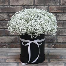 Цветочная композиция из Гипсофила в шляпной коробке в Нижнекабанской